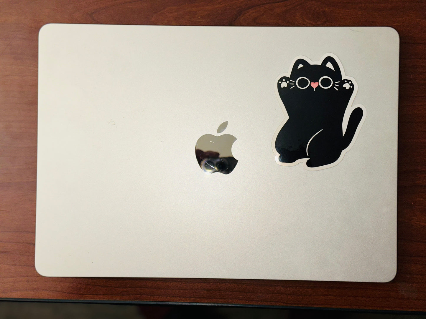 Bibi-beans🐈‍⬛🫘 Cat decorative sticker