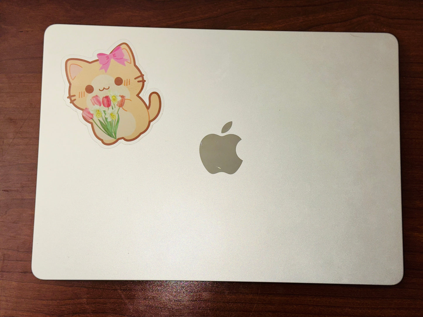 Sweet “Pelos”🐈🥹 - Cat Decorative Sticker
